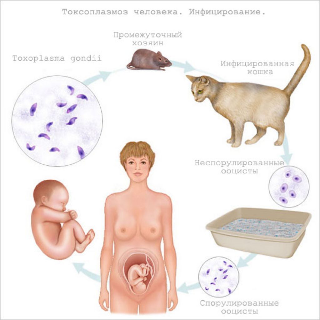 Признаки болезни печени во время беременности