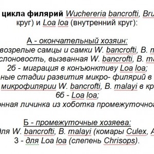 Слоновая болезнь