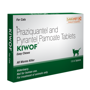 kiwop