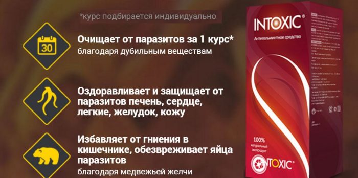интоксик