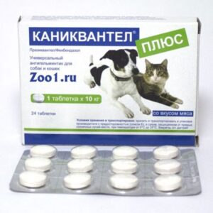 Каниквантел